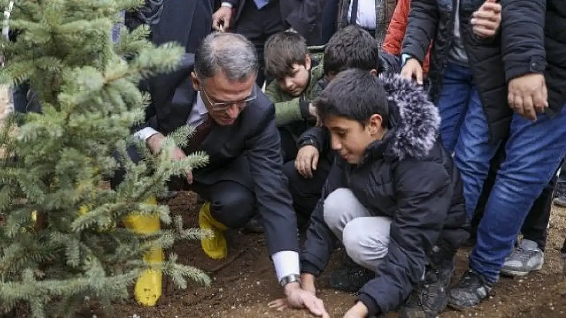 Van'da 'Milli Ağaçlandırma Günü'nde binlerce fidan dikildi