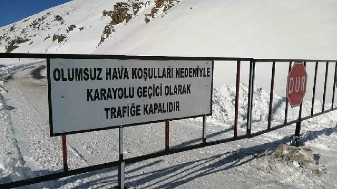 Van-Bahçesaray yolu trafiğe kapatıldı