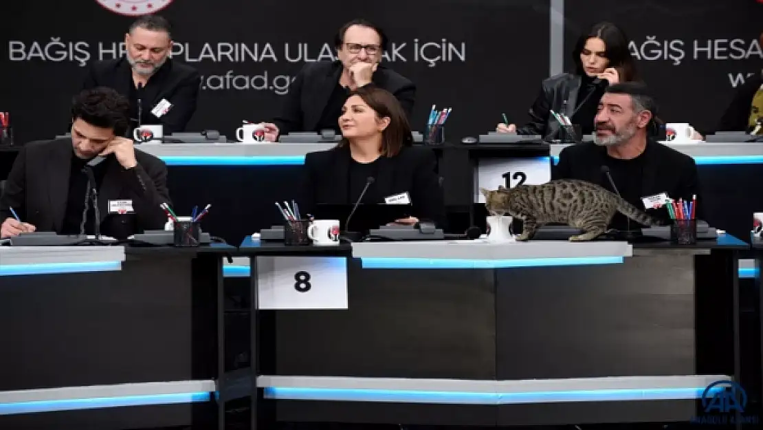 Türkiye tek yürek kampanyasına kim ne kadar bağış yaptı: Sıralı tam liste