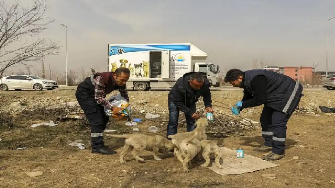 Van Büyükşehir, Malatya'da yaraları sarmaya devam ediyor