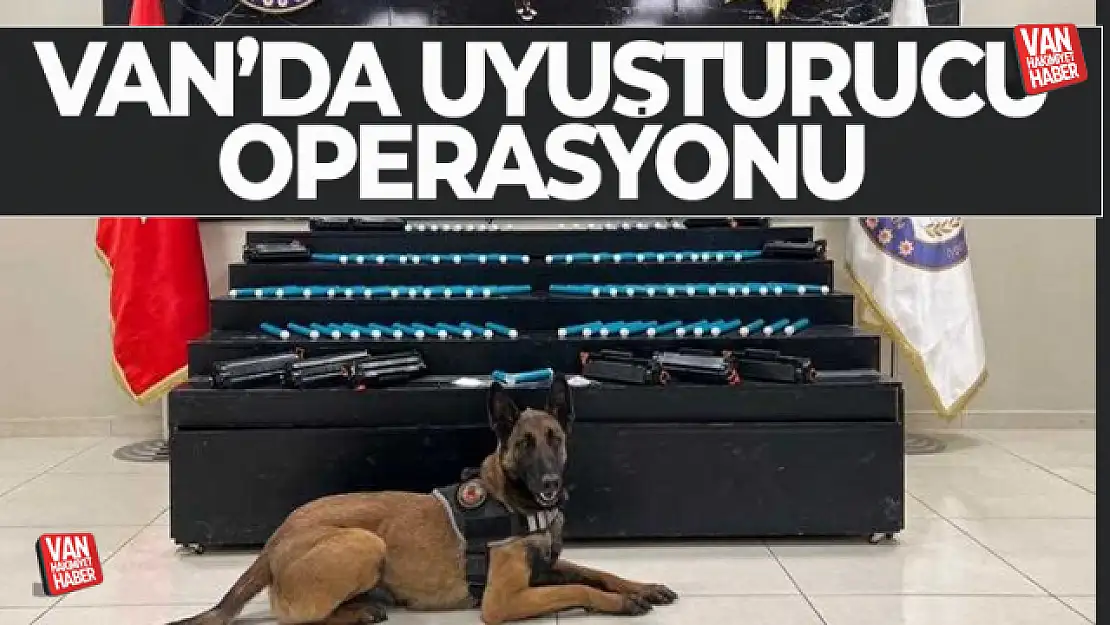 Van'da uyuşturucu operasyonu!