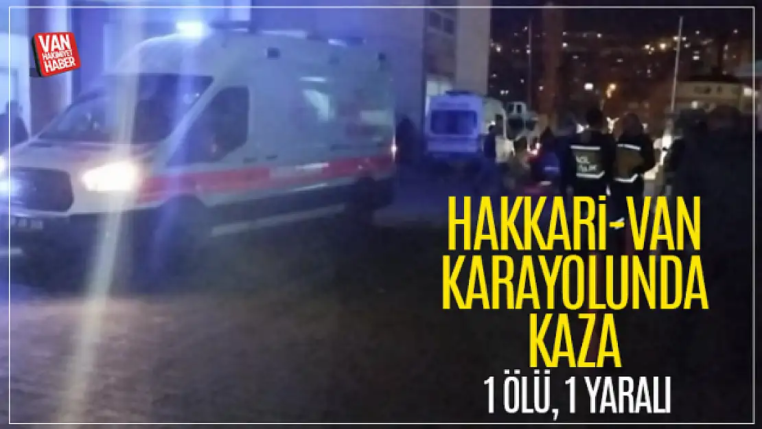 Van-Hakkari karayolunda kaza: 1 ölü, 1 yaralı