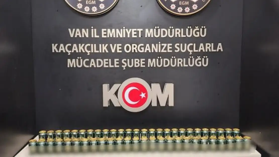 Van'da gümrük kaçakçılığı operasyonu