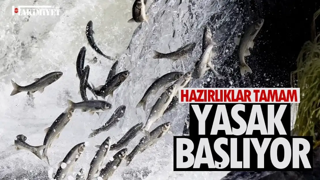 İnci kefali av yasağı için hazırlıklar tamamlandı