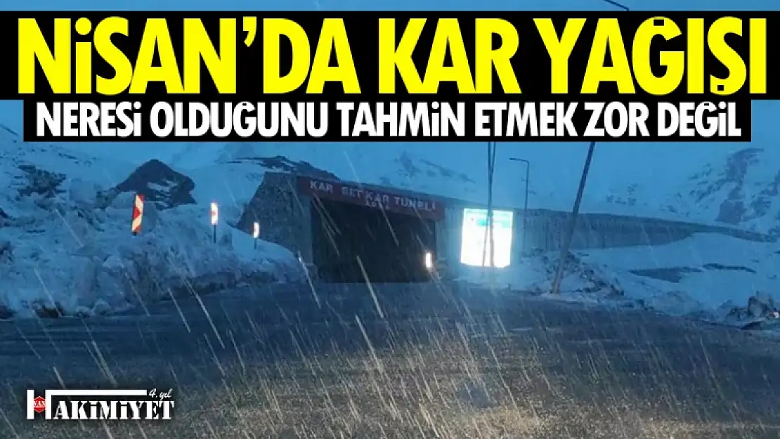 Nisan ayında Van'da kar yağışı