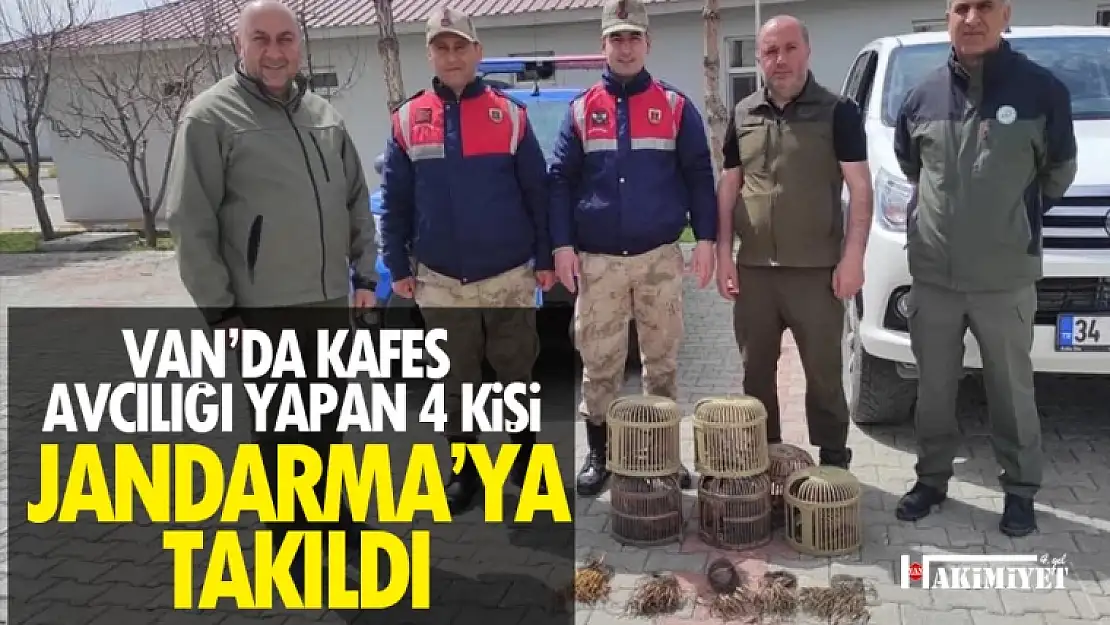 Van'da kafes avcılığı yapan 4 kişi jandarmaya takıldı