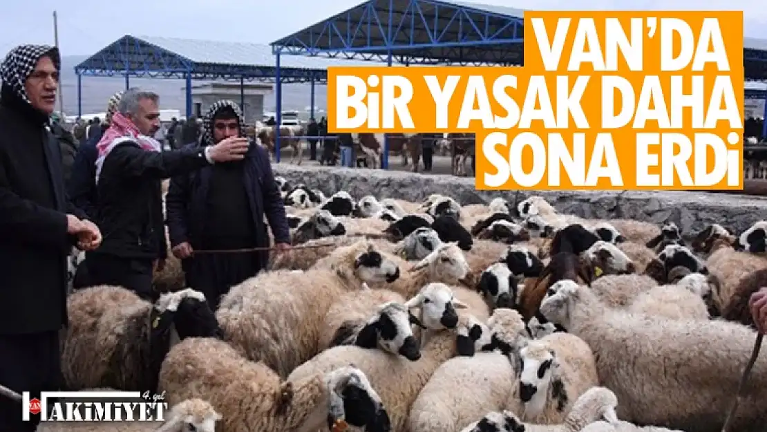 Van'da şap hastalığı ile ilgili yasak kalktı