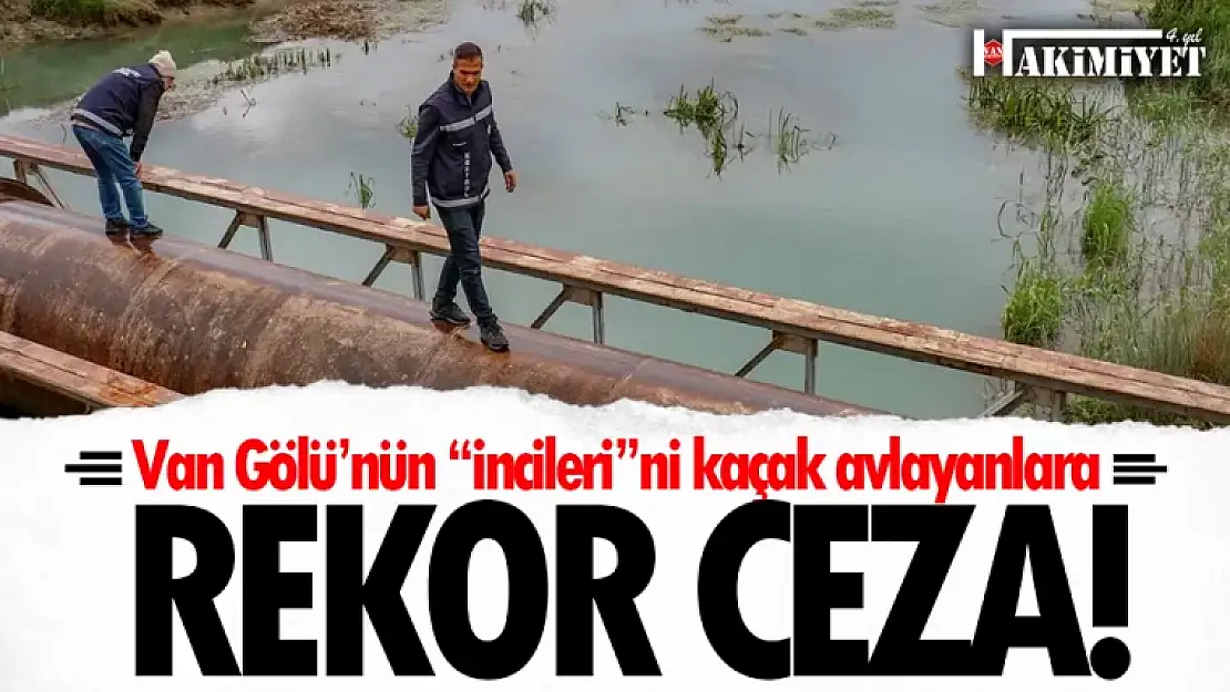 Van Gölü'nün 'incileri'ni kaçak avlayanlara rekor ceza!