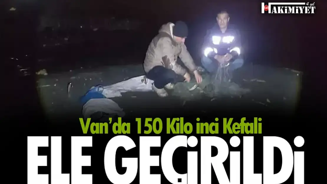 Van'da 150 kilo inci kefali ele geçirildi