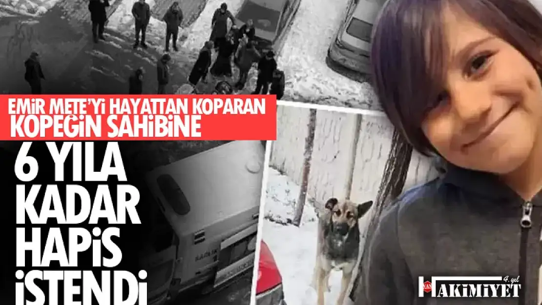 Van'da bir çocuğun ölümüne neden olan köpeğin sahibine 6 yıla kadar hapis istemi