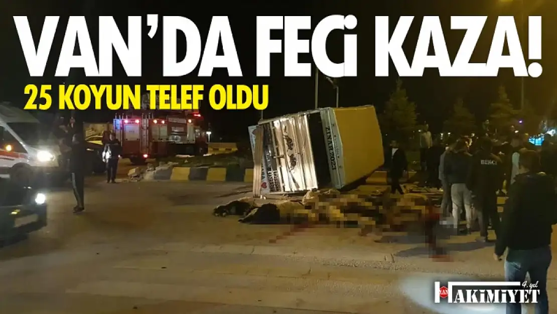 Van'da trafik kazası! 25 hayvan telef oldu