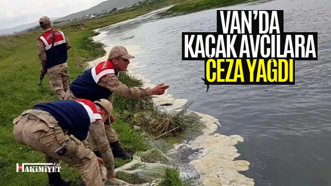 Van'da kaçak avcılara ceza yağdı!