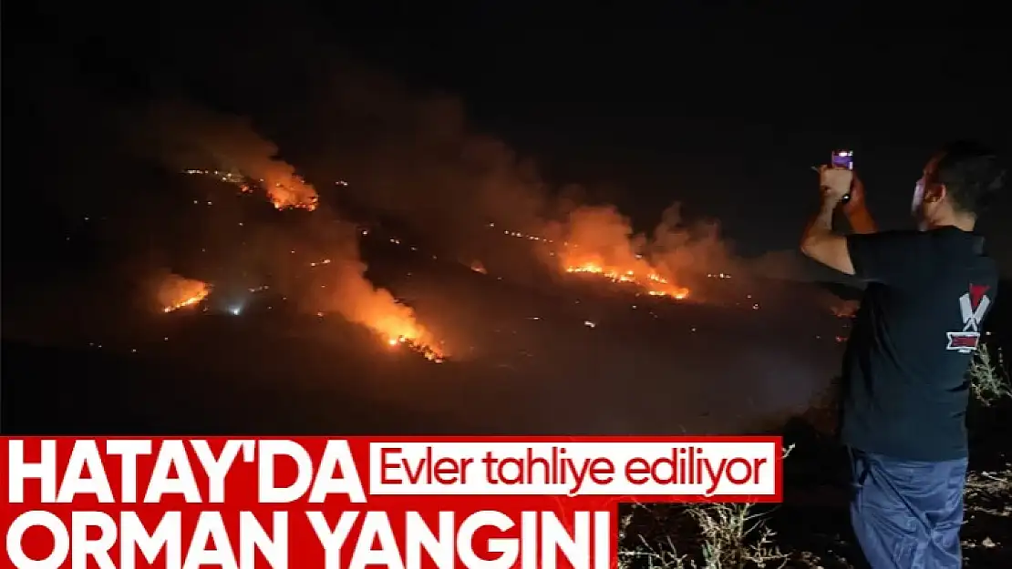 Hatay'da yerleşim yerine yakın orman yangını