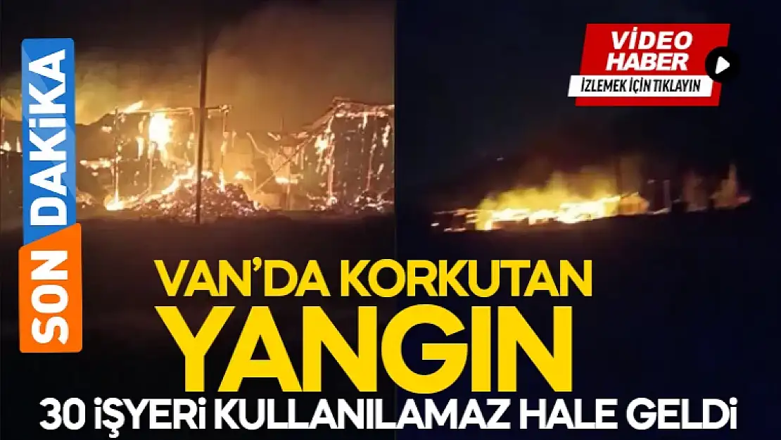 Van korkutan yangın! Tonlarca saman kül oldu