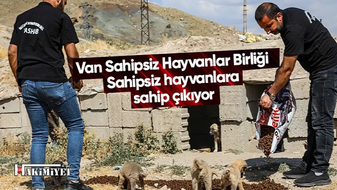 Van Sahipsiz Hayvanlar Birliği hayvanlara sahip çıkıyor