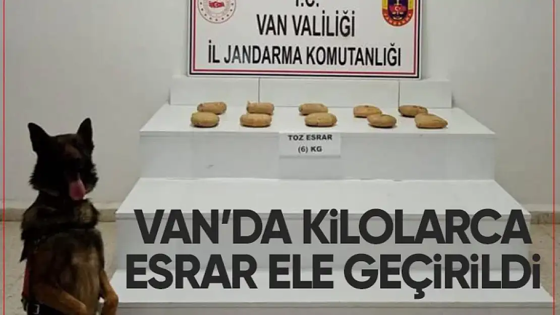 Van'ın Başkale ilçesinde 6 kilogram esrar ele geçirildi