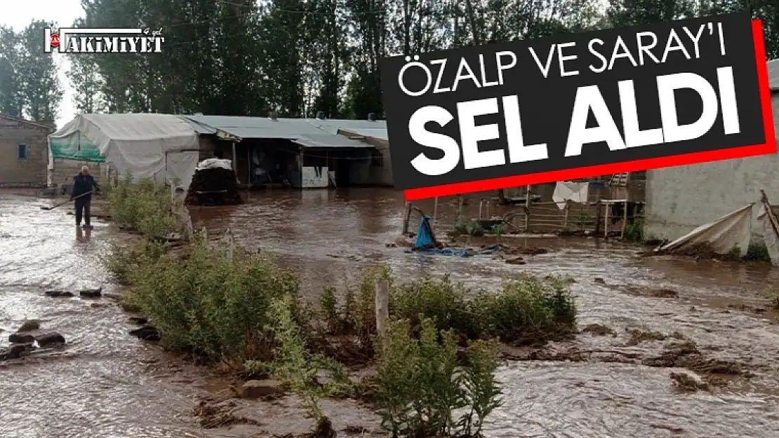 Van'ın iki ilçesi sele teslim oldu