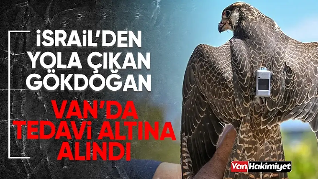 İsrail'den yola çıkan Gökdoğan Van'da tedavi altına alındı