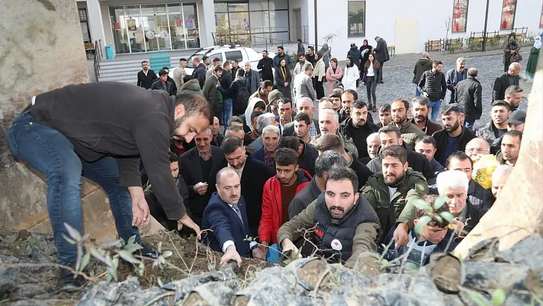 Başkale'de 10 bin badem ve ceviz fidanı dağıtıldı