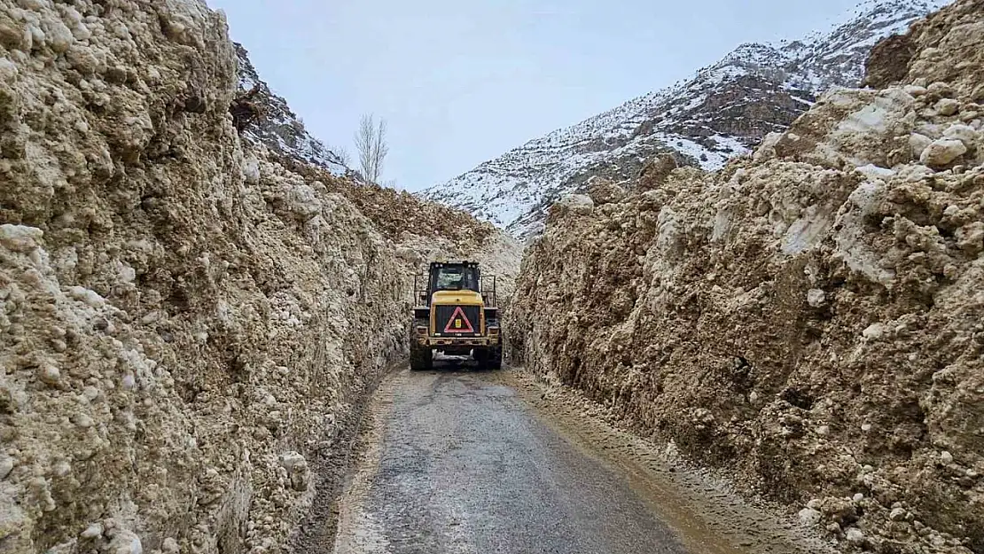 Çatak'ta üst üste çığ düştü! Ekipler zor anlar yaşıyor