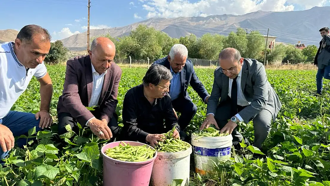 Gevaş Belediyesi tarım ürünlerini ihtiyaç sahiplerine ulaştırıyor