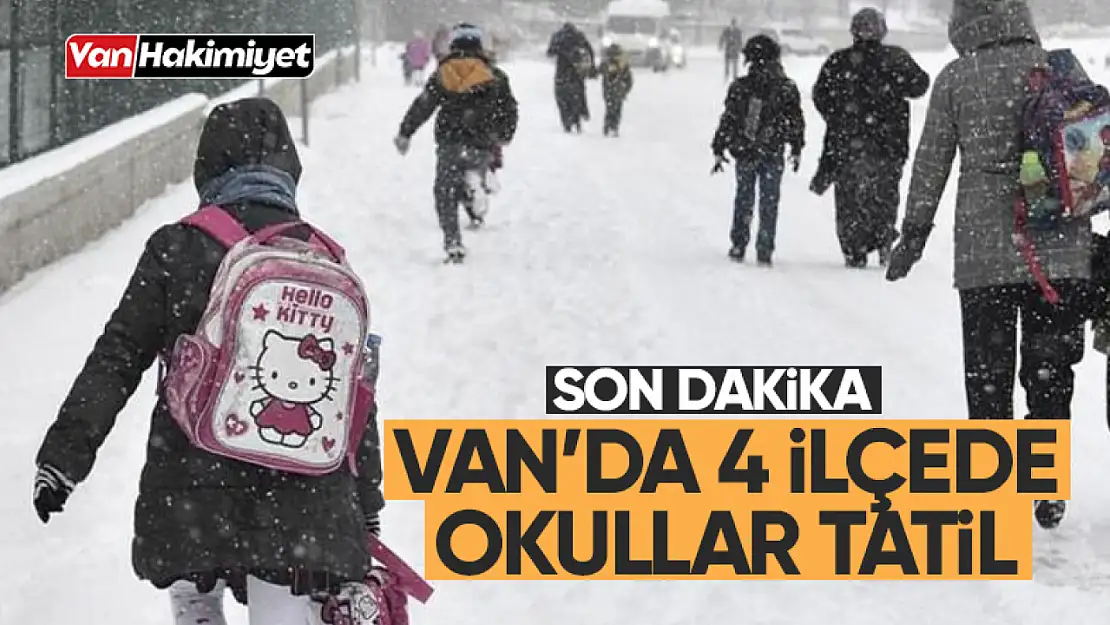 Son dakika! Van'da 4 ilçede okullar tatil edildi