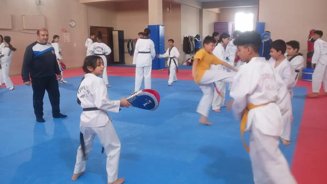 Taekwondo Van'da zirveye koşuyor