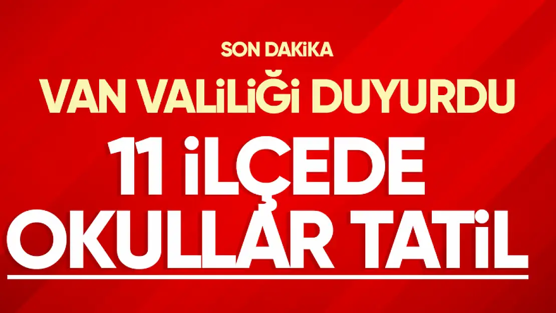 Valilikten açıklama geldi: Van'da 11 ilçede okullar tatil edildi!