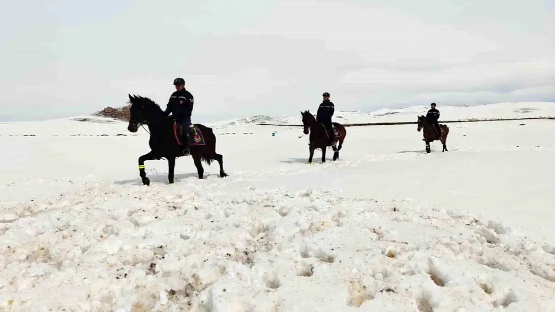 Van'da 108 düzensiz göçmen yakalandı