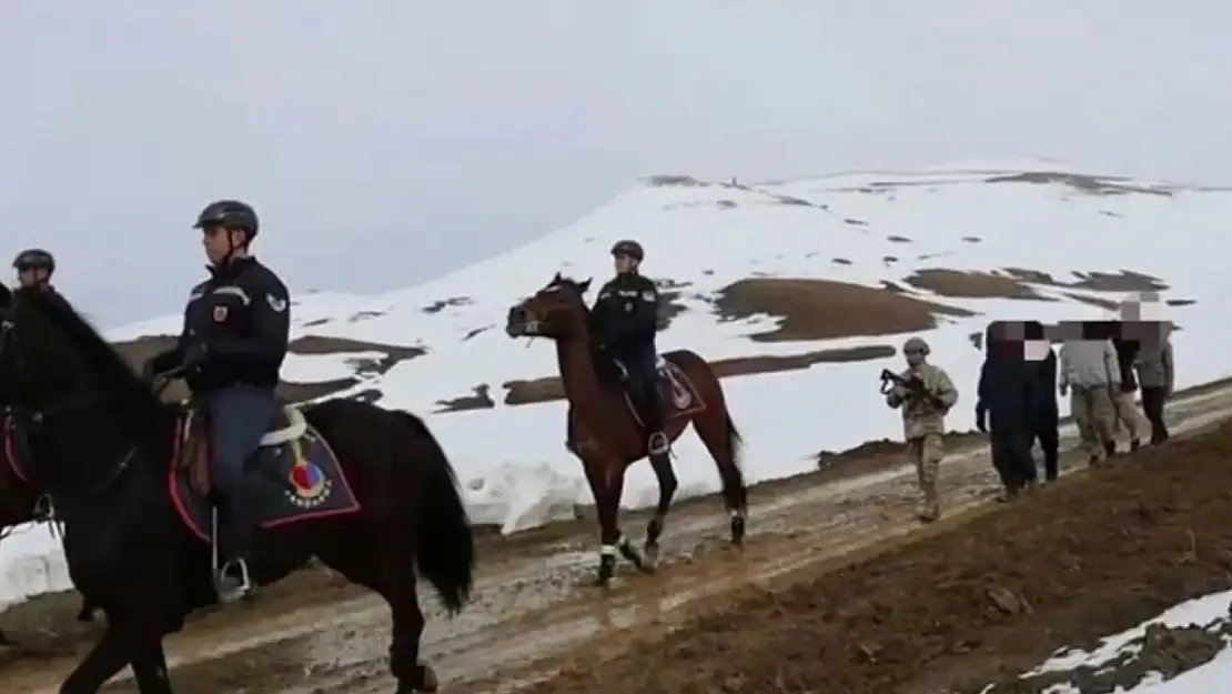 Van'da 199 düzensiz göçmen yakalandı