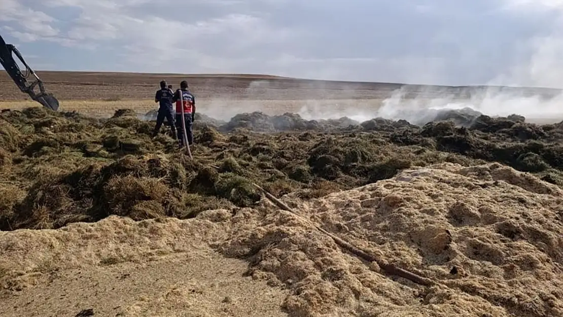 Van'da 700 bağ ot ve 7 ton saman kül oldu