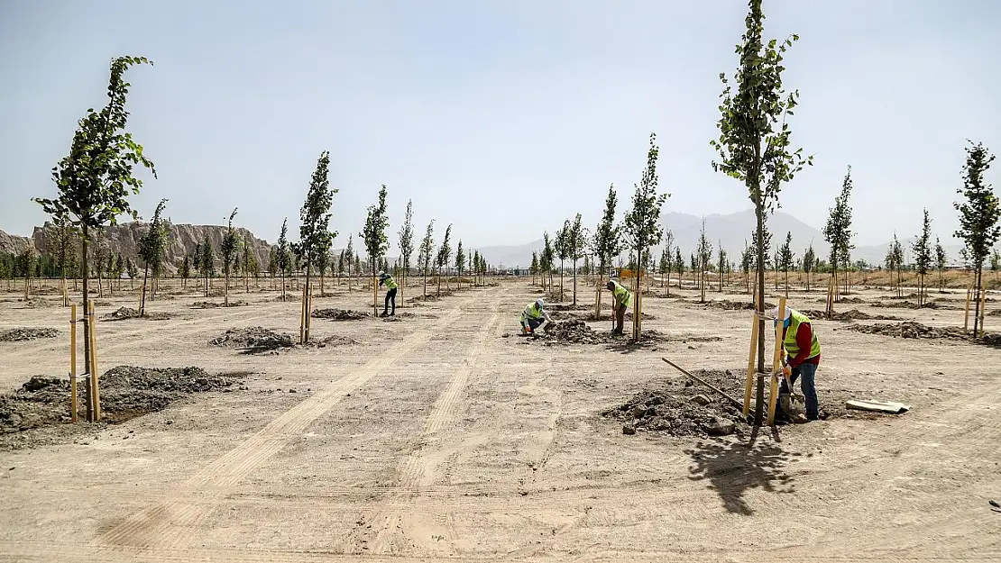 Van'da 80 bin metrekarelik yeni bir park yapılıyor