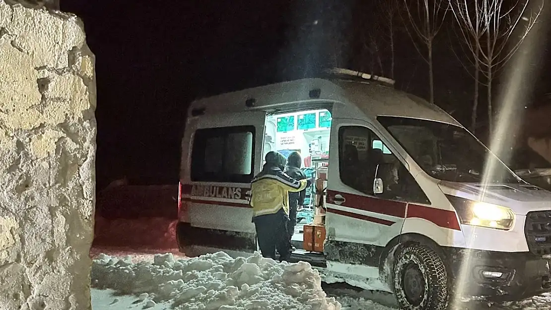 Van'da anne ve oğlu sobadan zehirlendi