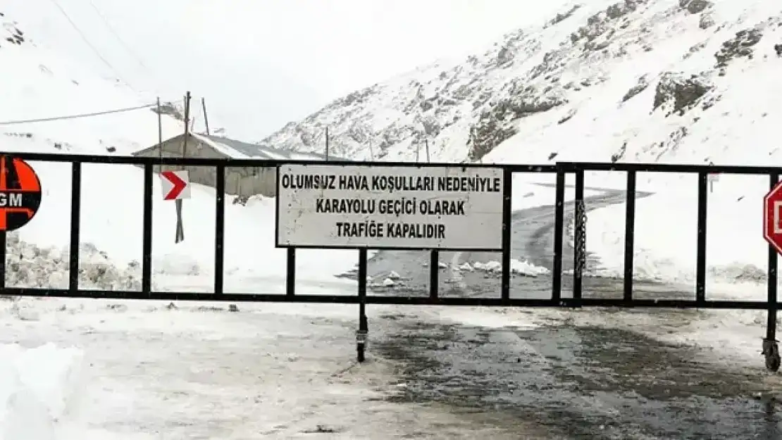 Van'da çığ düştü! İlçe yolu ulaşıma kapandı