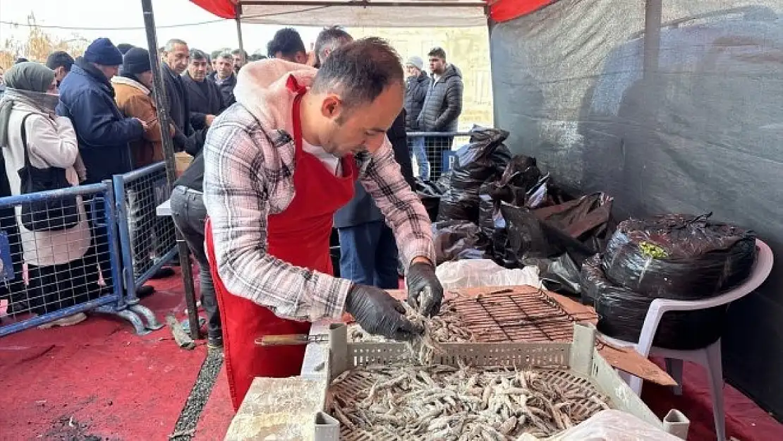 Van'da 'Hamsi Festivali' düzenlendi