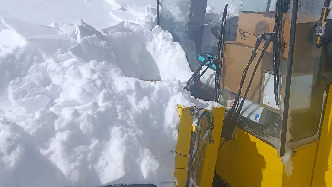 Van'da iş makinesinin üzerine çığ düştü