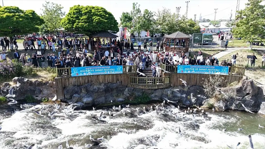 Van'da uçan balık festivali başladı