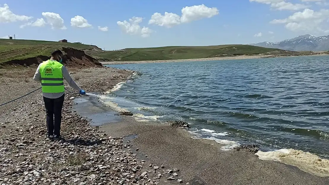 Van'da yaz öncesi larva mücadelesi başladı