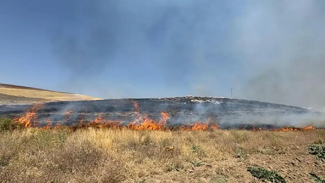 Van'da yüzlerce dönüm arazi kül oldu
