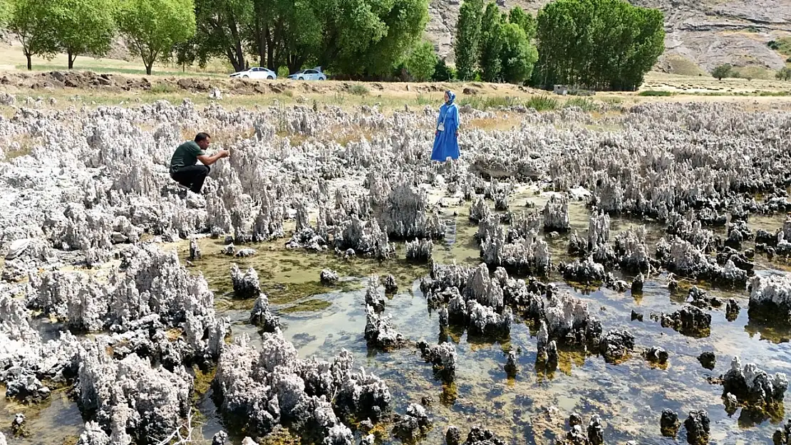 Van Gölü kıyıları mikrobiyalit tarlasına döndü