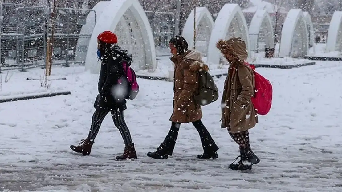 Van'ın bir ilçesinde eğitime kar engeli!