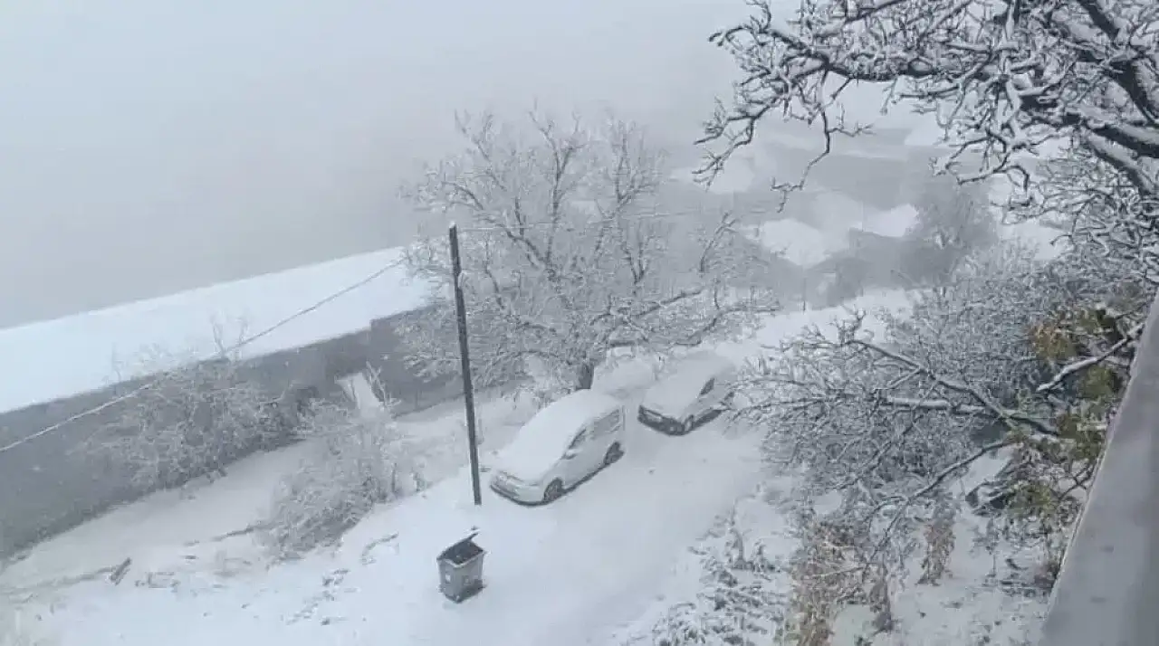 Van'ın Bahçesaray ilçesinde kar etkili oldu