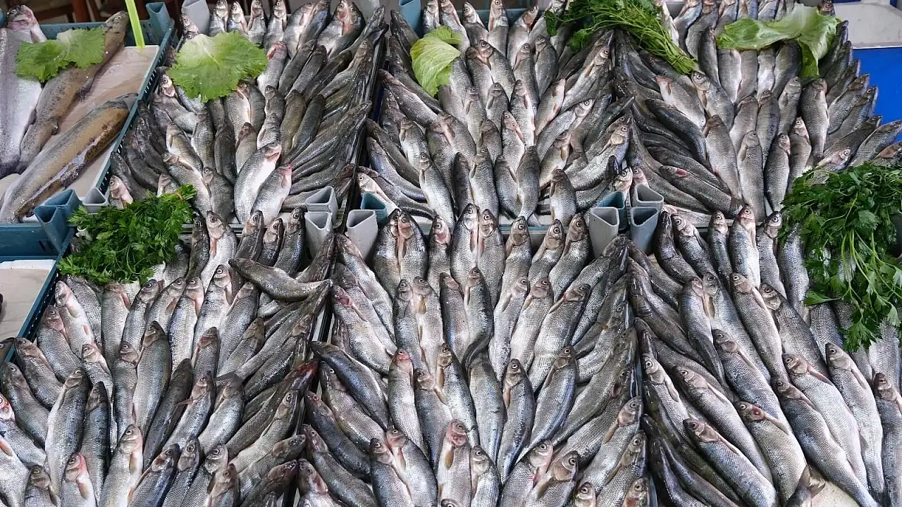 Van Balığı fiyat artışıyla dikkat çekti!