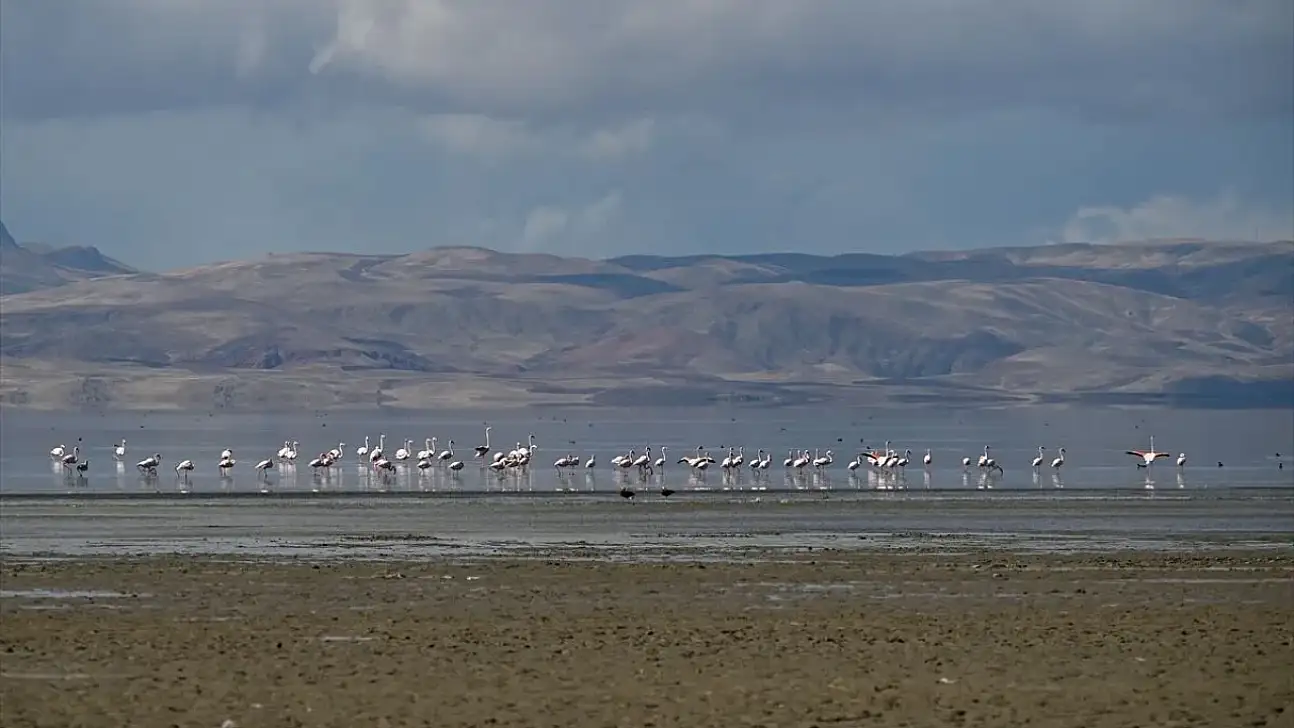 Van'daki Erçek Gölü 30 yılda 6 kilometrekare alan kaybetti