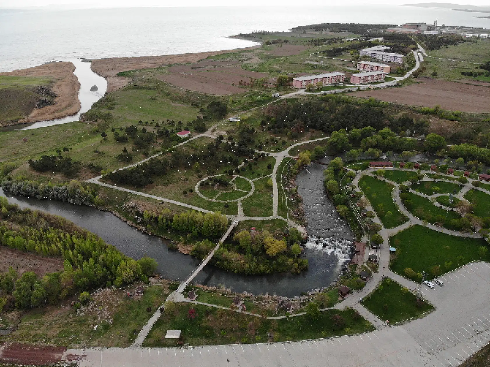 Uçan balıkların muhteşem göçü