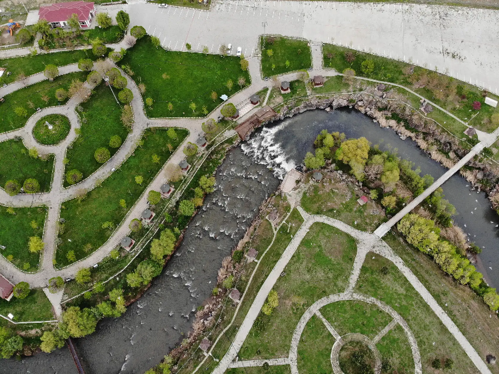 Uçan balıkların muhteşem göçü