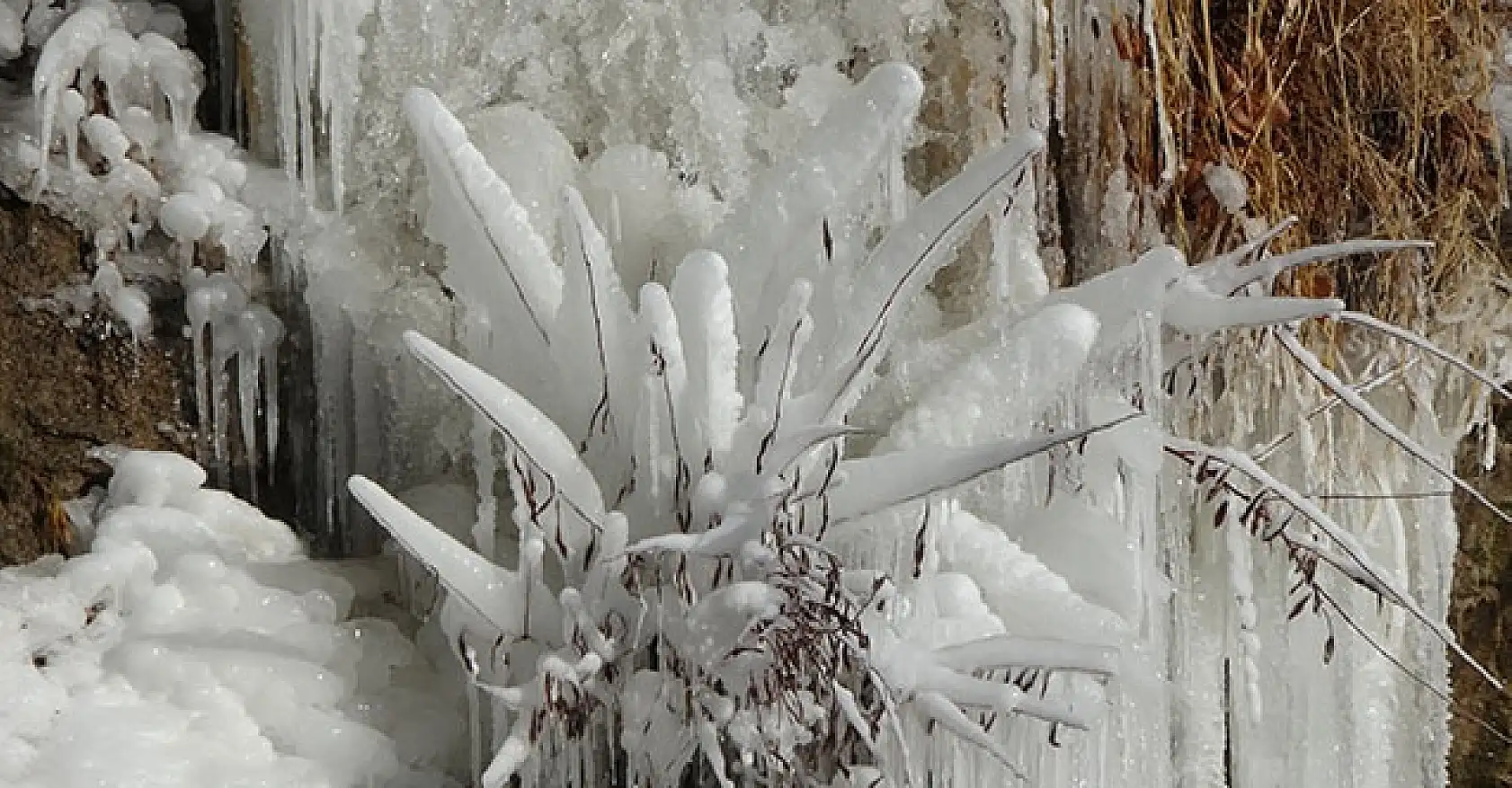 Muradiye Şelalesi dondu