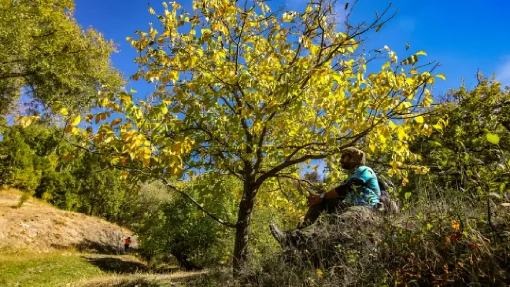 Van'da doğaseverler Demirkazık köyünü gezdi