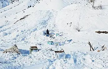 32 arı kovanı çığ altında kaldı