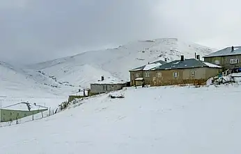 Başkale'de kar yağışı etkili oldu